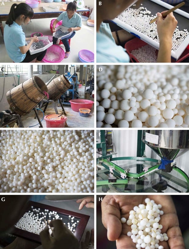 proces kontroly jader perlová farma záliv Ha Long